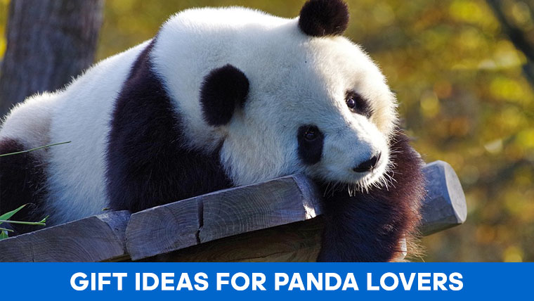 panda-lover-gifts